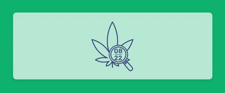 עדכוני קנאביס רפואי תפרחות ושמני קנאביס רפואי, סיכום החודש שהיה אוגוסט 22