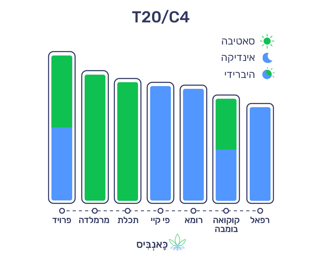 16.10.22 דירוג זנים T20