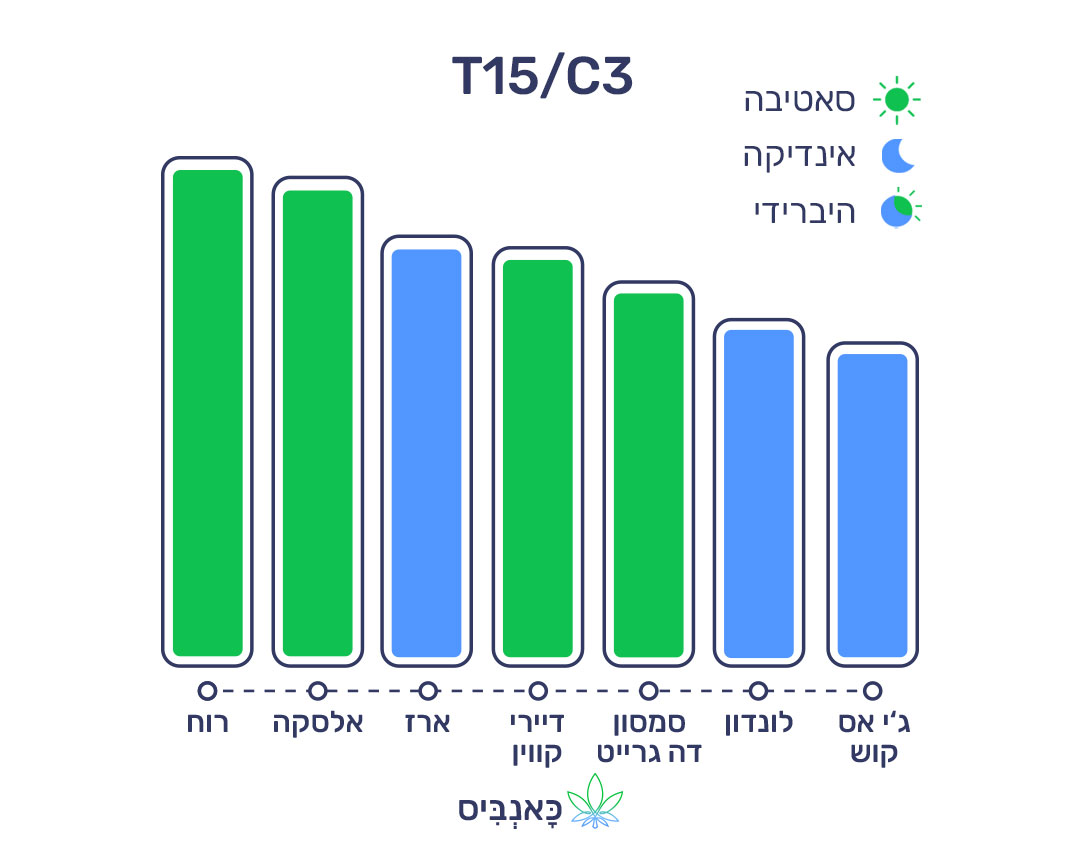 23.10.22 דירוג זנים T15