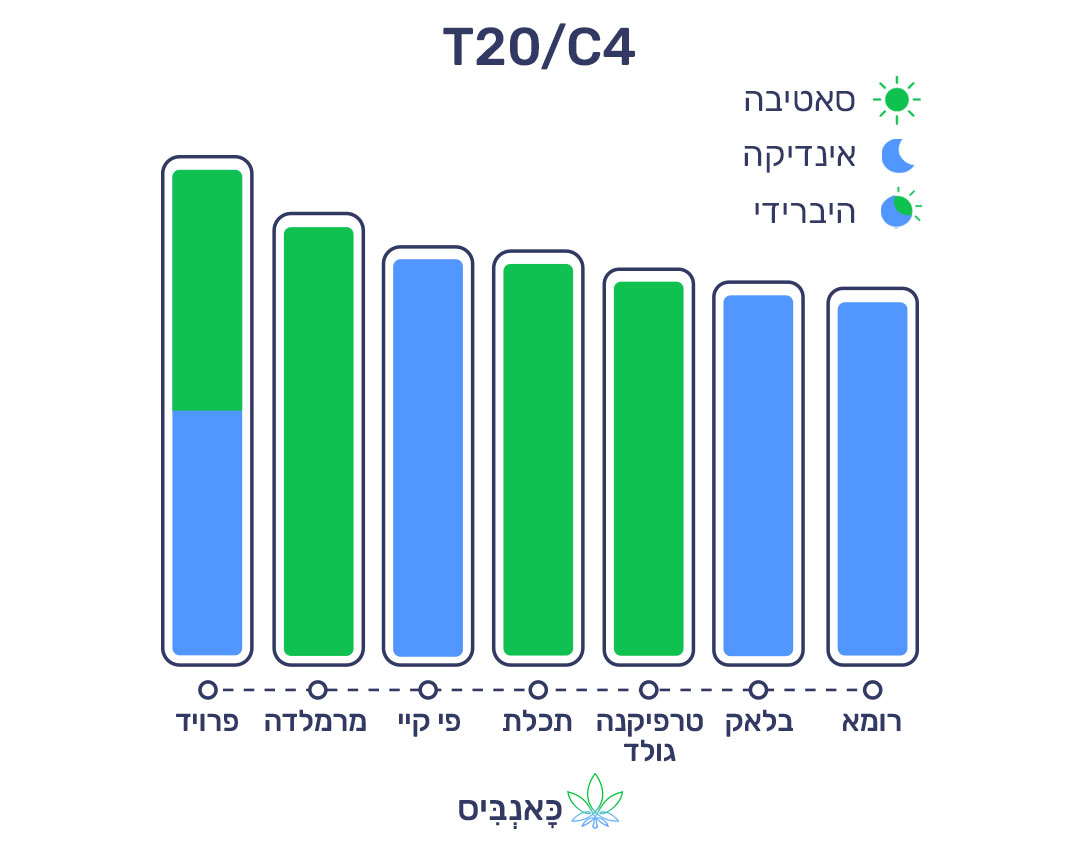 23.10.22 דירוג זנים T20