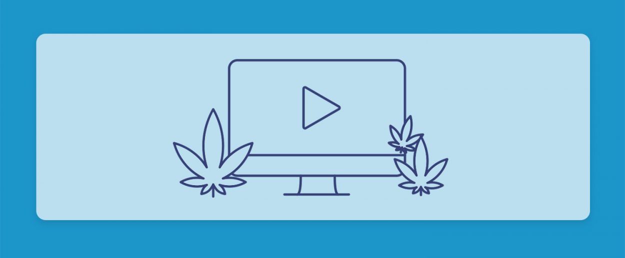 קנאביס בטלוויזיה ובקולנוע: סדרות וסרטים על קנאביס שכדאי להכיר וכיף לצפות