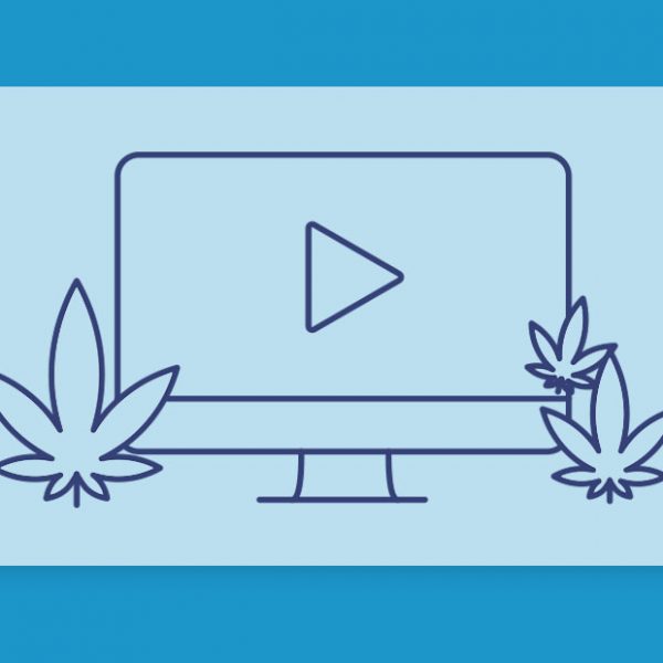 קנאביס בטלוויזיה ובקולנוע: סדרות וסרטים על קנאביס שכדאי להכיר וכיף לצפות