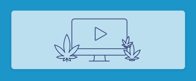 קנאביס בטלוויזיה ובקולנוע: סדרות וסרטים על קנאביס שכדאי להכיר וכיף לצפות