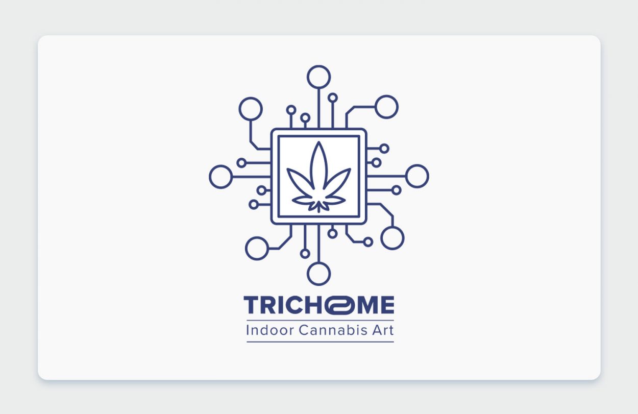 הייטק בקנאביס: ראיון והצצה למתקן האינדור המתקדם של חברת טריכום Trichome