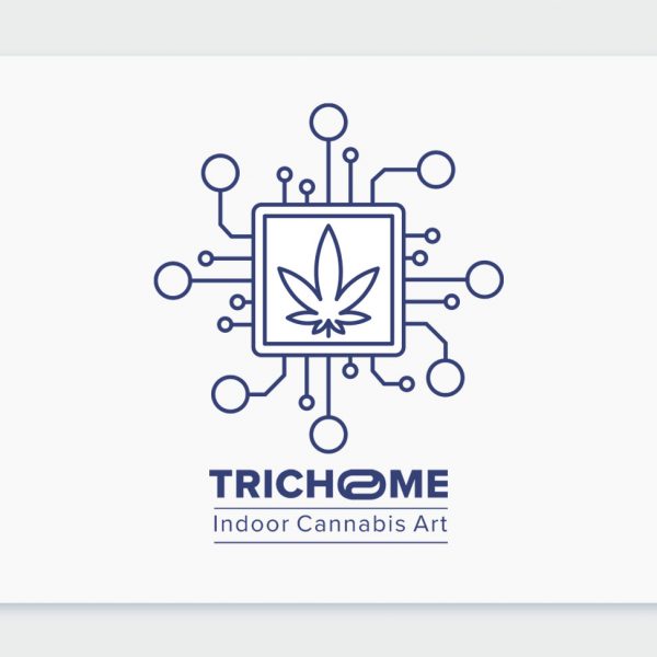 הייטק בקנאביס: ראיון והצצה למתקן האינדור המתקדם של חברת טריכום Trichome