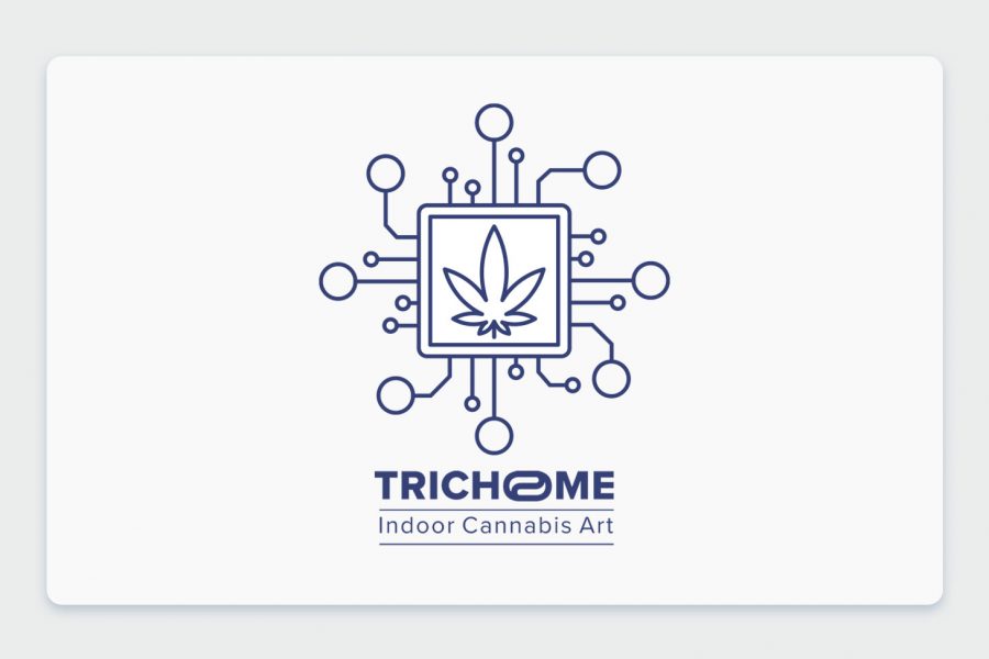 הייטק בקנאביס: ראיון והצצה למתקן האינדור המתקדם של חברת טריכום Trichome