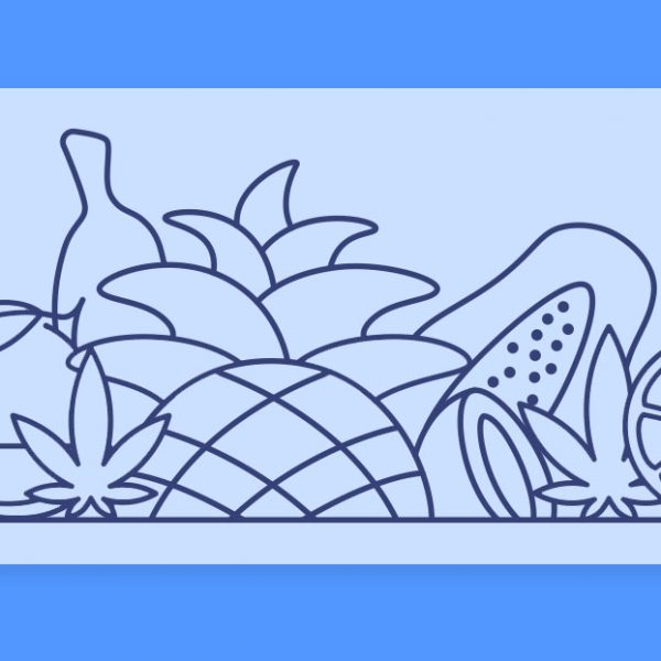 ריח הקנאביס: ארומות הקנאביס השונות - והפעם, זנים טרופיים עם ניחוח של חופשה