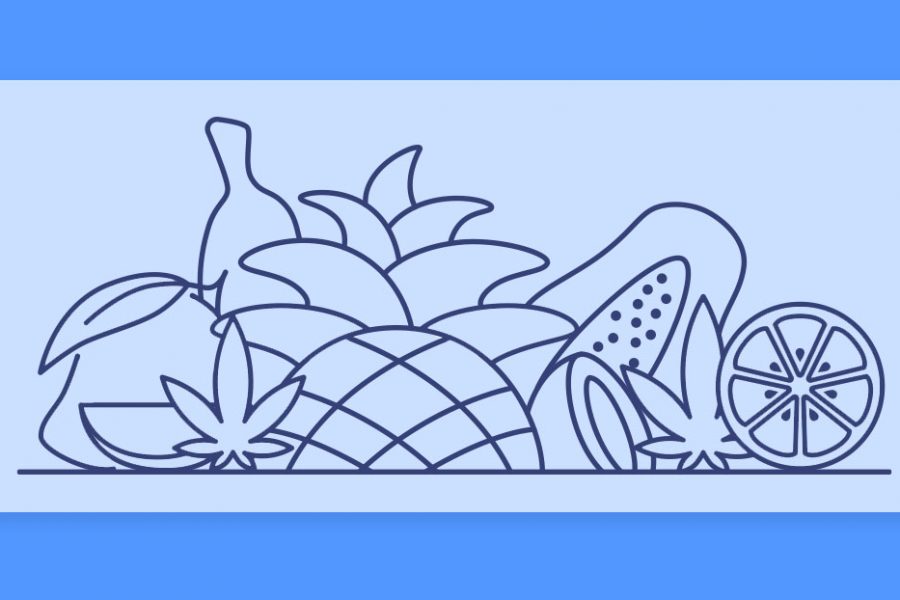 ריח הקנאביס: ארומות הקנאביס השונות - והפעם, זנים טרופיים עם ניחוח של חופשה