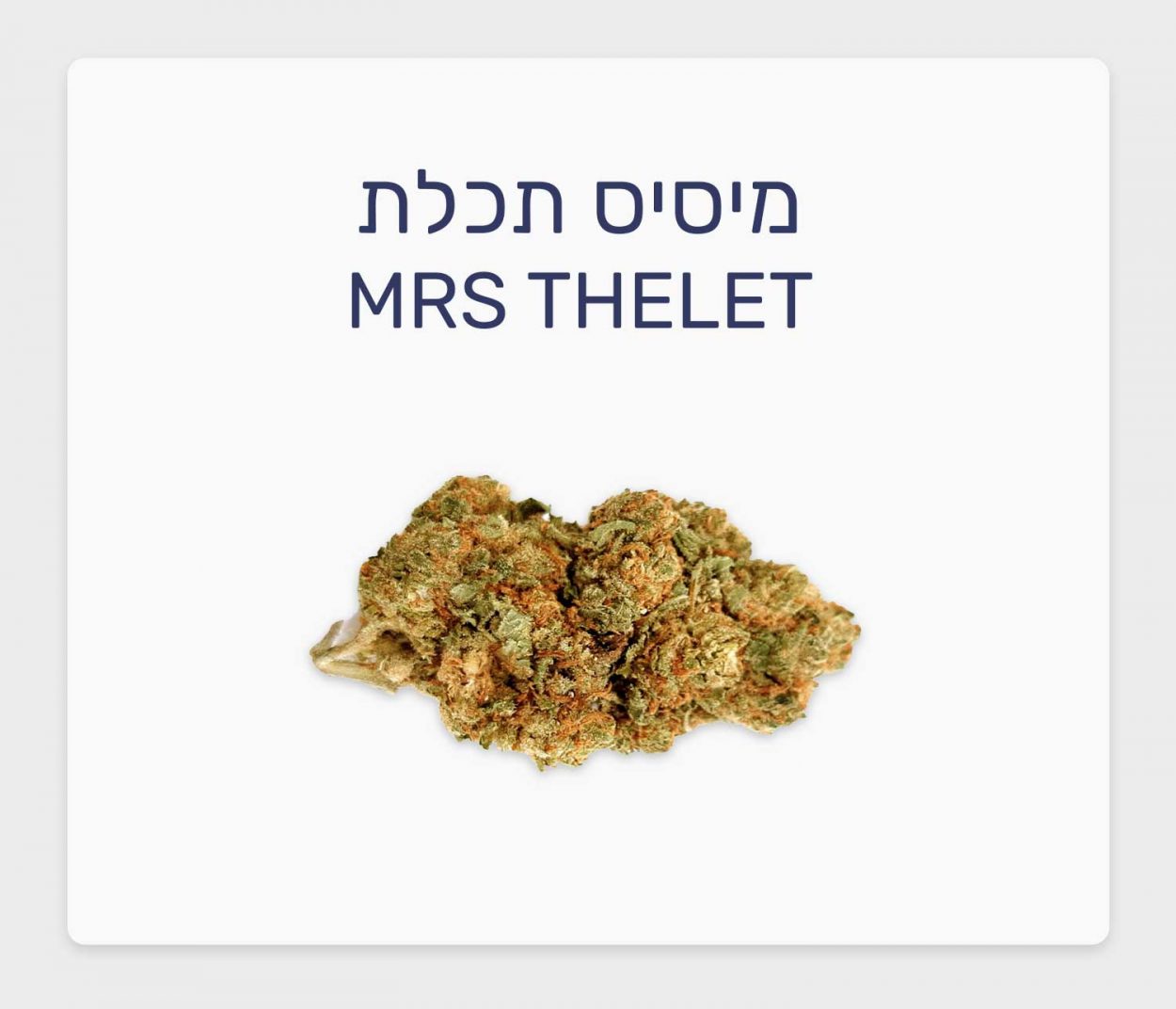 סקירת זן מיסיס תכלת – תפרחת קנאביס רפואי T20/C4 סאטיבה, בזלת