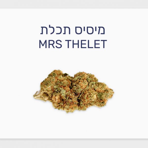 סקירת זן מיסיס תכלת – תפרחת קנאביס רפואי T20/C4 סאטיבה, בזלת