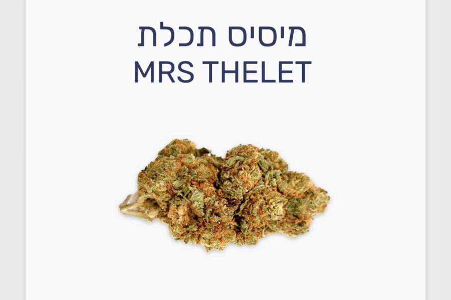 סקירת זן מיסיס תכלת – תפרחת קנאביס רפואי T20/C4 סאטיבה, בזלת