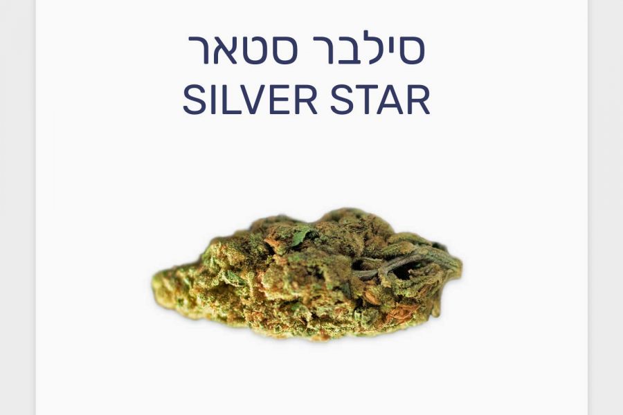 סקירת זן סילבר סטאר – תפרחת קנאביס רפואי T20/C4 חדשה של חברת שיח