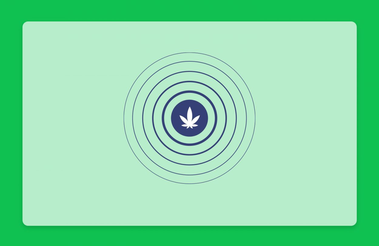 קנאביס לכאבים חזקים: טיפול בקנאביס רפואי לכאב כרוני ונוירופטי