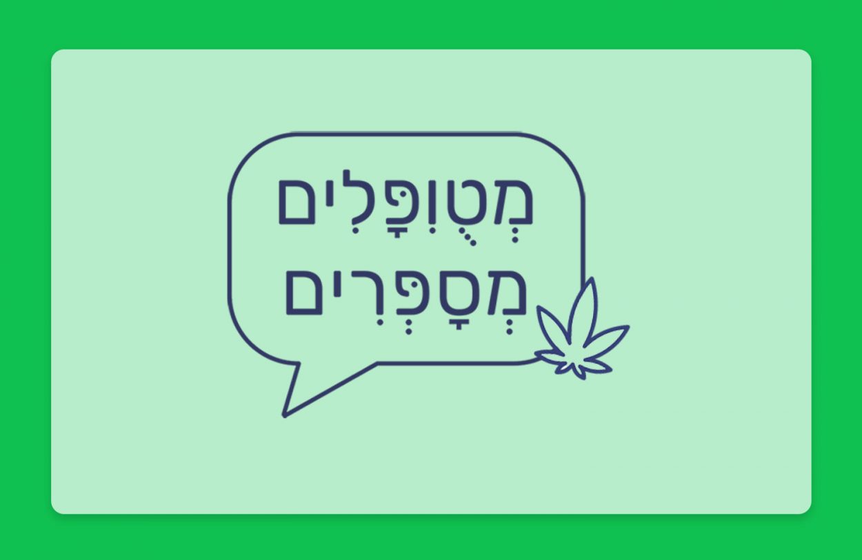 מטופלים מספרים - תפרחת קנאביס רפואי ג'רוזלם גרוב T20/C4 אינדיקה