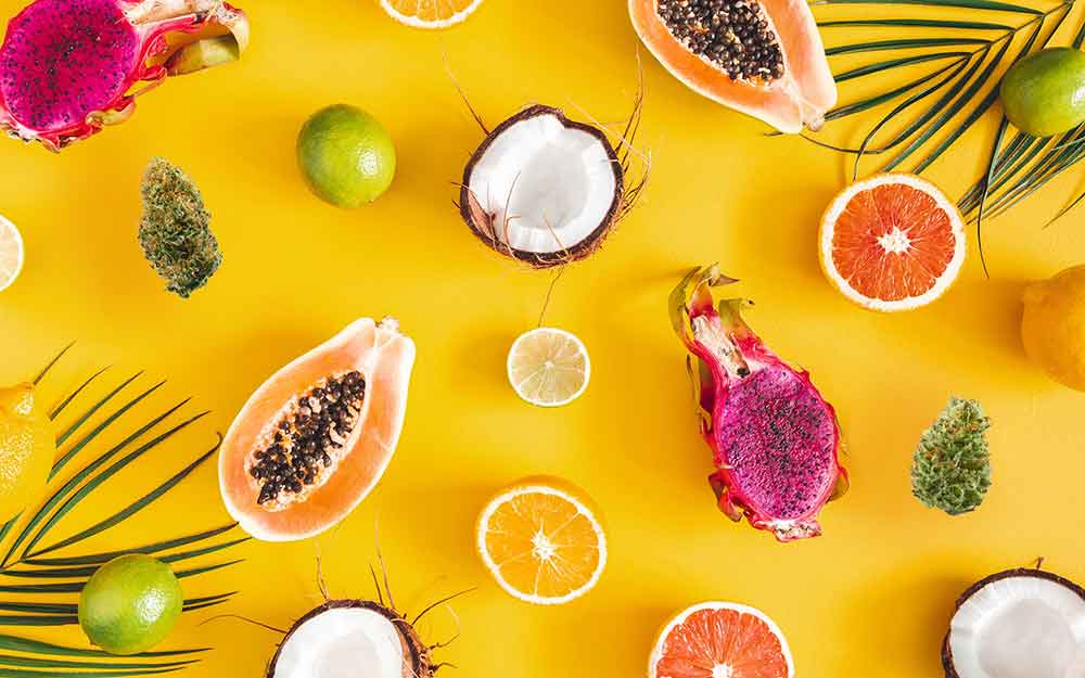 זני קנאביס טרופיים