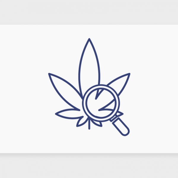 עדכוני קנאביס רפואי תפרחות ושמני קנאביס רפואי, סיכום השבוע שהיה 27.10.22