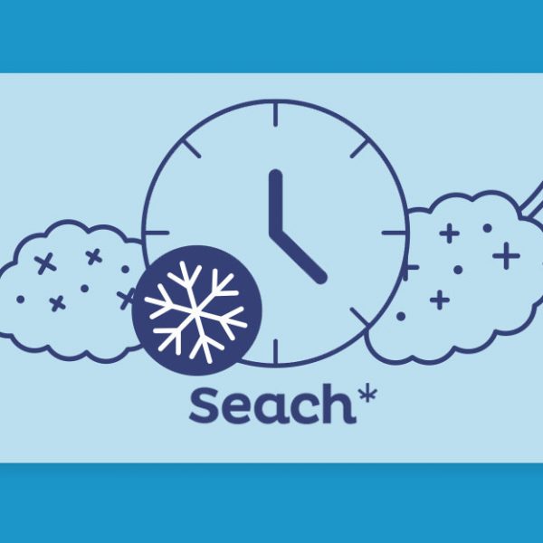 לכבוד שעון החורף המדכדך: הזנים המשמחים ומרוממי המצב-רוח של חברת שיח