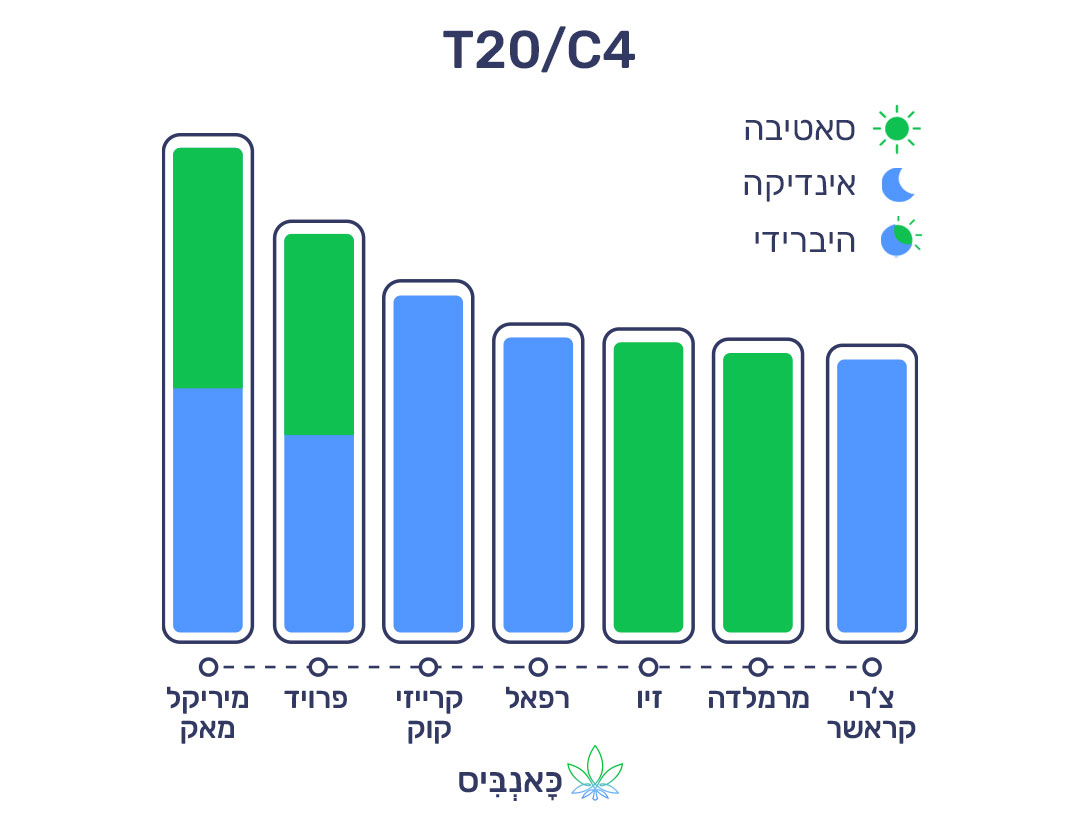 13.11.22 דירוג זנים T20