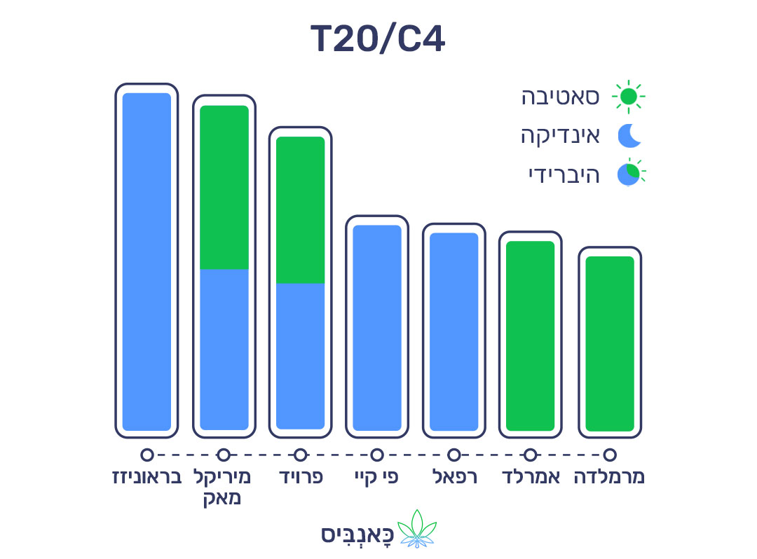 27.11.22 דירוג זנים T20