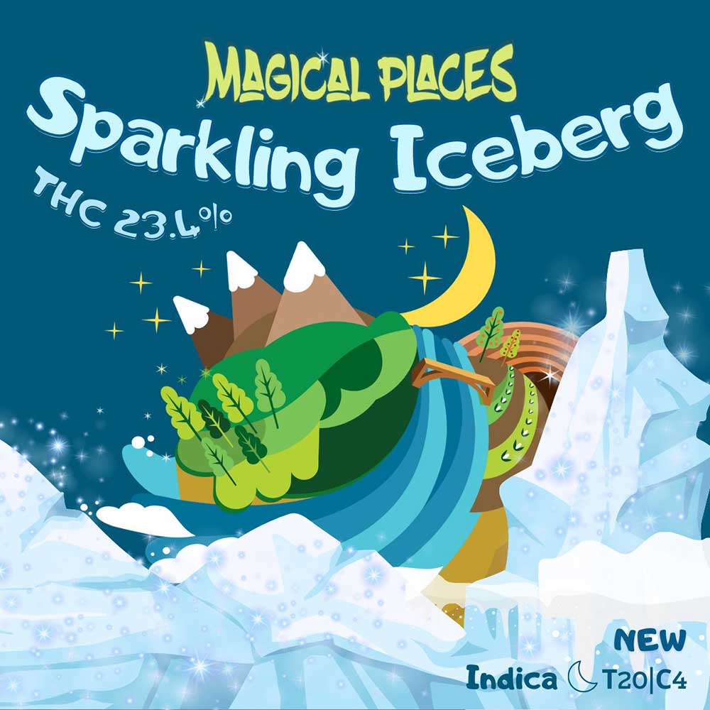 זן קנאביס קרחון נוצץ Sparkling Iceberg