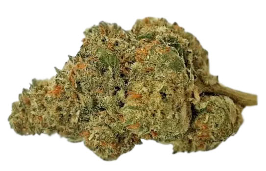 תפרחת איריס