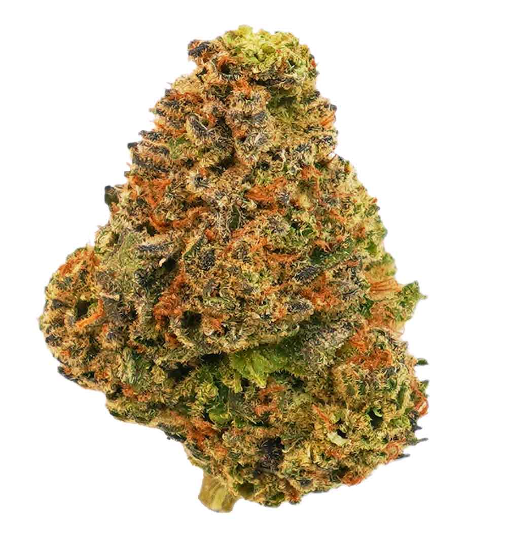 תפרחת אמרלד חדשה