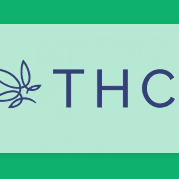 הכירו את THC.org.il, מגזין קנאביס רפואי מוביל בישראל