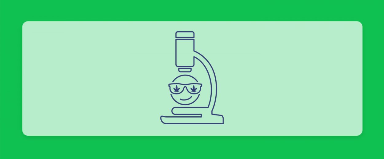 קנאביס ולחץ חברתי: מחקר חדש מראה שעישון קנאביס לא הופך אותנו ל"מגניבים"