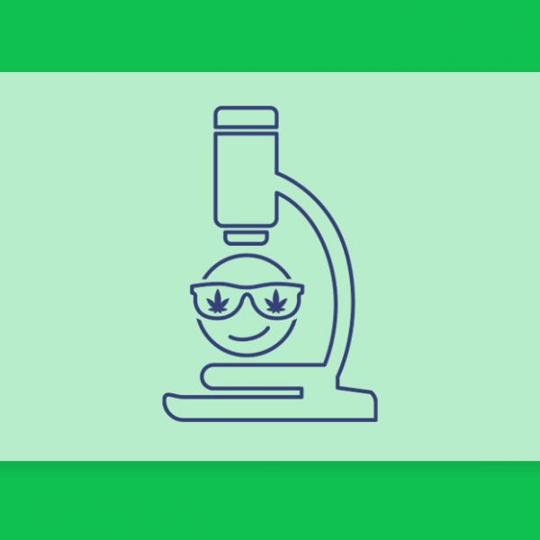 קנאביס ולחץ חברתי: מחקר חדש מראה שעישון קנאביס לא הופך אותנו ל"מגניבים"