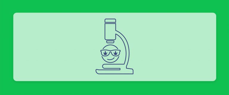 קנאביס ולחץ חברתי: מחקר חדש מראה שעישון קנאביס לא הופך אותנו ל"מגניבים"