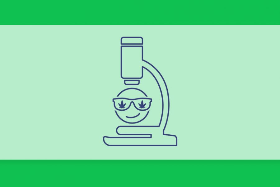 קנאביס ולחץ חברתי: מחקר חדש מראה שעישון קנאביס לא הופך אותנו ל"מגניבים"