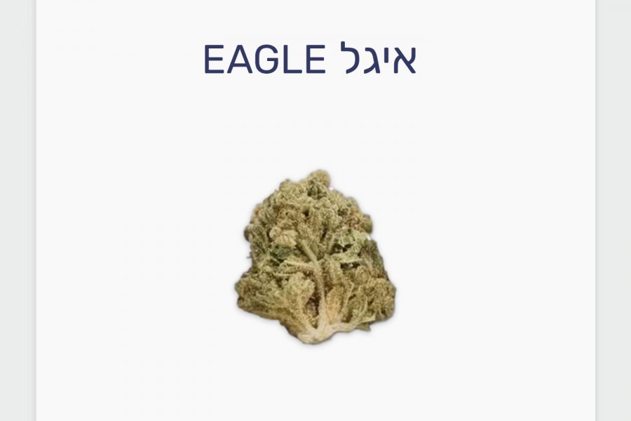 סקירת זן איגל Eagle – תפרחת קנאביס רפואי T20/C4 חדשה של תיקון עולם