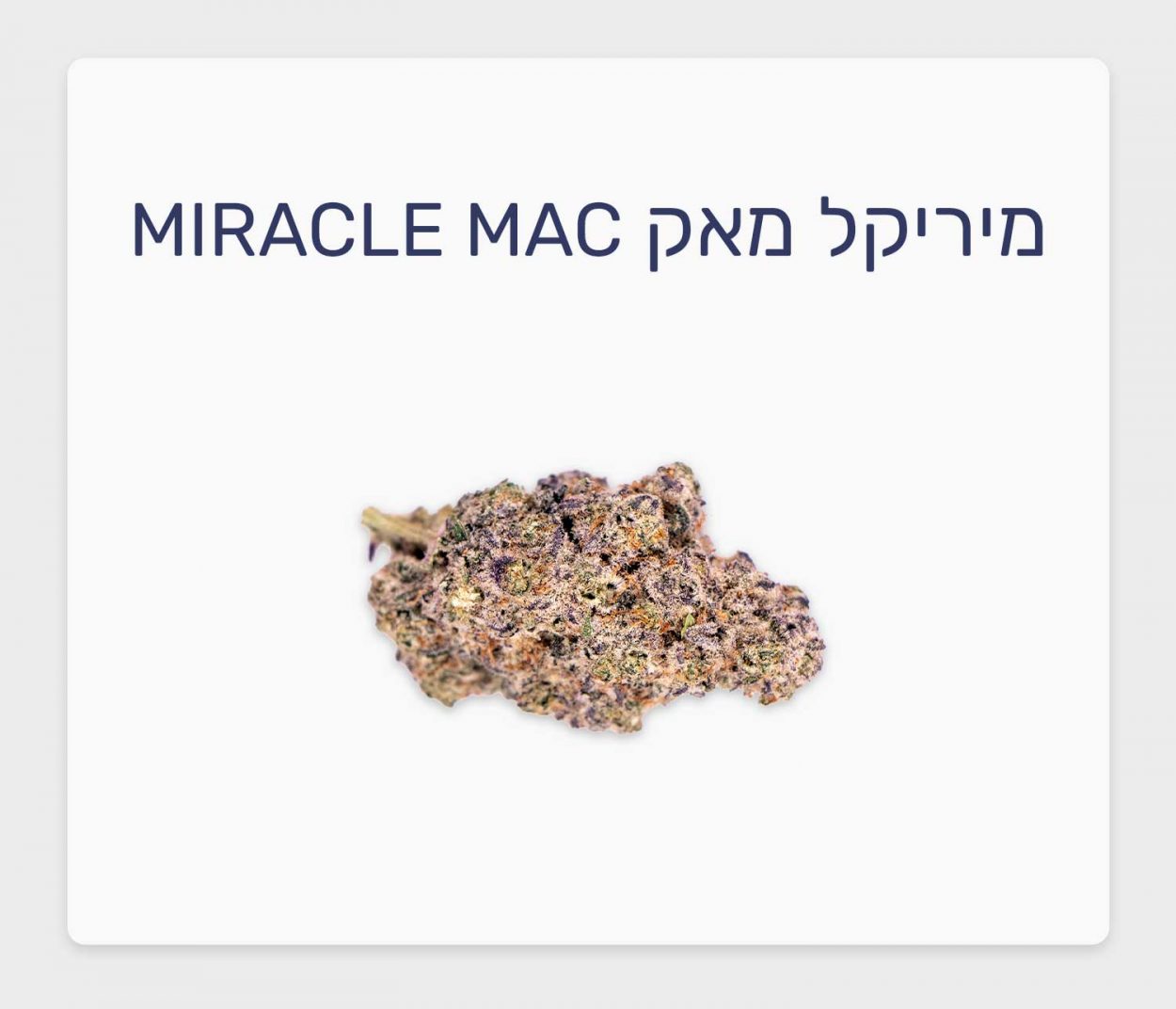 סקירת זן מיריקל מאק – תפרחת קנאביס רפואי בגידול קראפט קנדי, T20/C4 היברידי, שיח