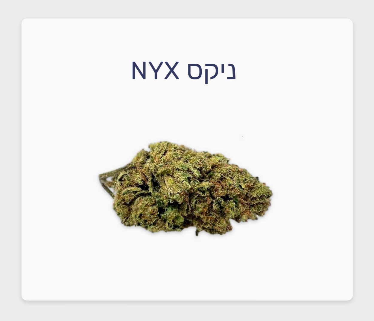סקירת זן ניקס NYX – תפרחת קנאביס רפואי עתירת CBD בקטגוריית T3/C15 של חברת בזלת