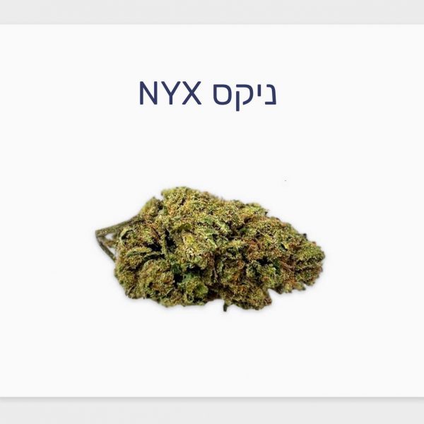 סקירת זן ניקס NYX – תפרחת קנאביס רפואי עתירת CBD בקטגוריית T3/C15 של חברת בזלת