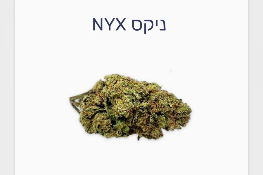 סקירת זן ניקס NYX – תפרחת קנאביס רפואי עתירת CBD בקטגוריית T3/C15 של חברת בזלת