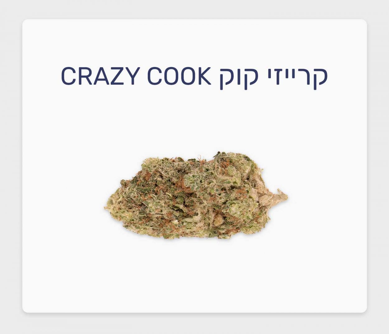 סקירת זן קרייזי קוק – תפרחת קנאביס רפואי בגידול קראפט קנדי, T20/C4 אינדיקה, שיח