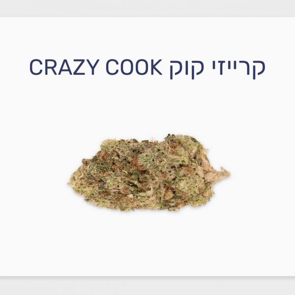 סקירת זן קרייזי קוק – תפרחת קנאביס רפואי בגידול קראפט קנדי, T20/C4 אינדיקה, שיח