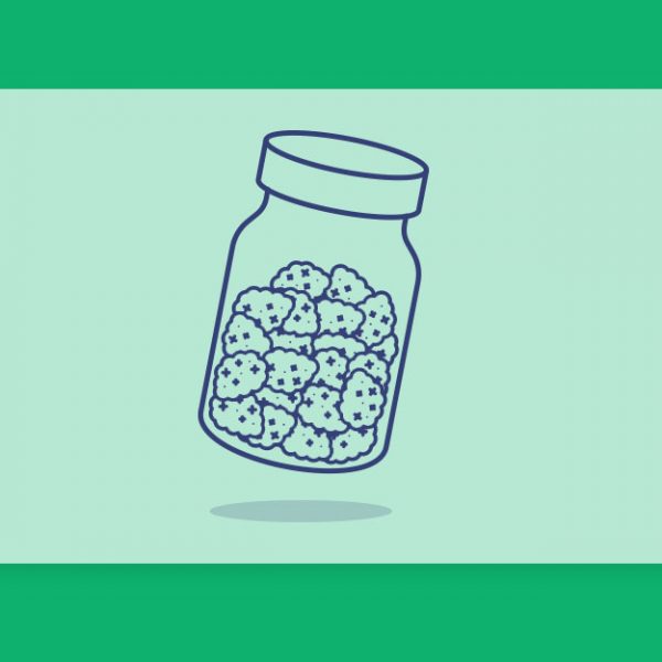 לכבוד יציאת דארק הלמט מיניז לשוק: זני קאנביס רפואי בגרסת התפרחות הקטנות