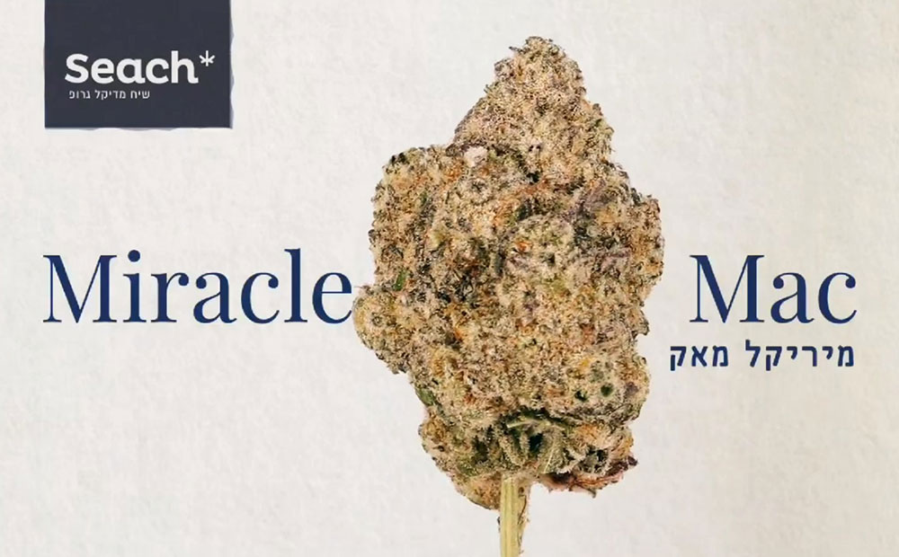 מיריקל מאק, Craft Premium Collection