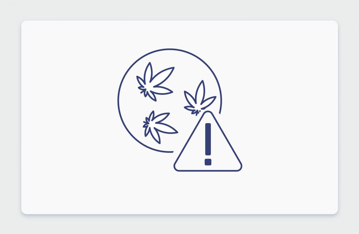 סם מסוכן? בעקבות אסון האופטלגין בדקנו, האם קנאביס יכול להרוג אותנו? יש דבר כזה מנת יתר של קנאביס?