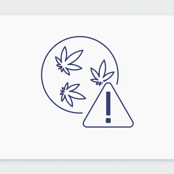 סם מסוכן? בעקבות אסון האופטלגין בדקנו, האם קנאביס יכול להרוג אותנו? יש דבר כזה מנת יתר של קנאביס?