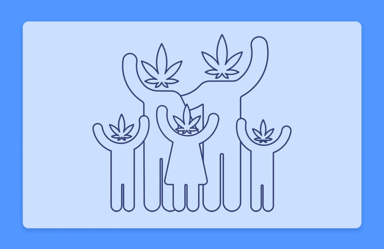 קנאביס 101: כיצד נוצרים זני קנאביס? טיפוח, ריבוי, הכלאות ופנוטיפים