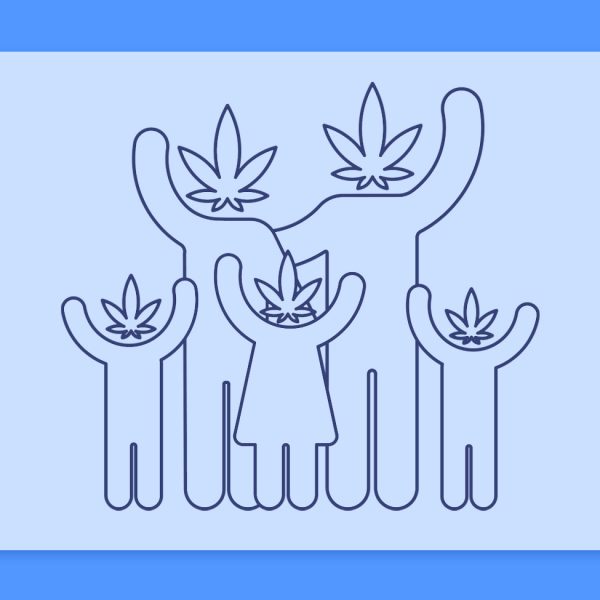 קנאביס 101: כיצד נוצרים זני קנאביס? טיפוח, ריבוי, הכלאות ופנוטיפים