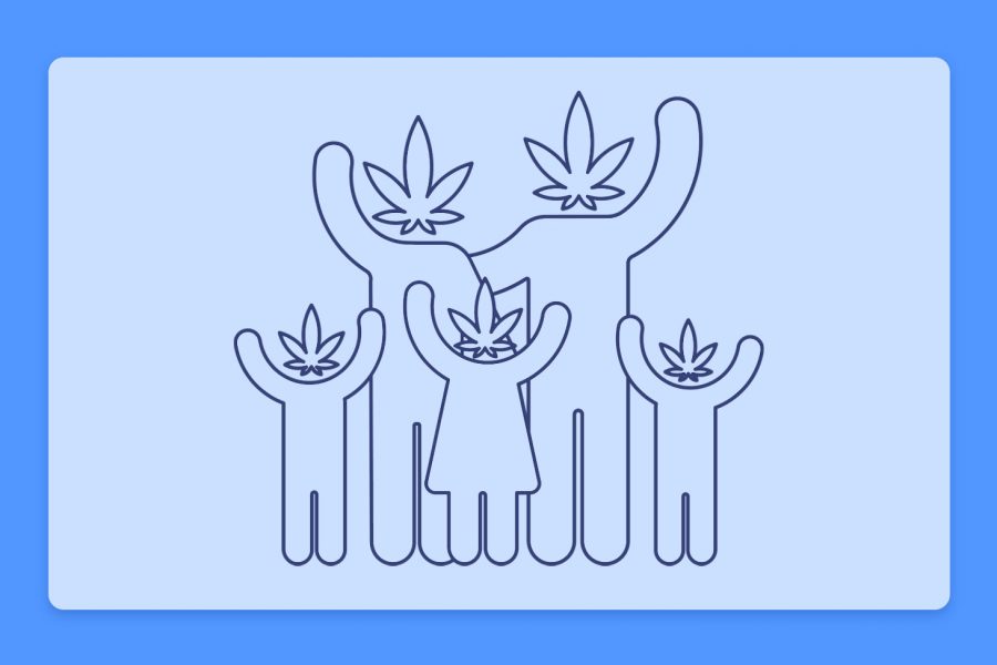 קנאביס 101: כיצד נוצרים זני קנאביס? טיפוח, ריבוי, הכלאות ופנוטיפים