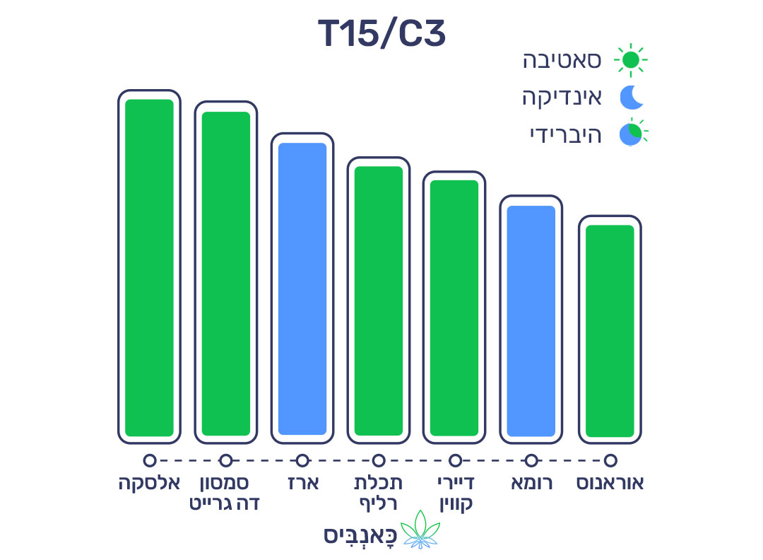 18.12.22 דירוג זנים T15