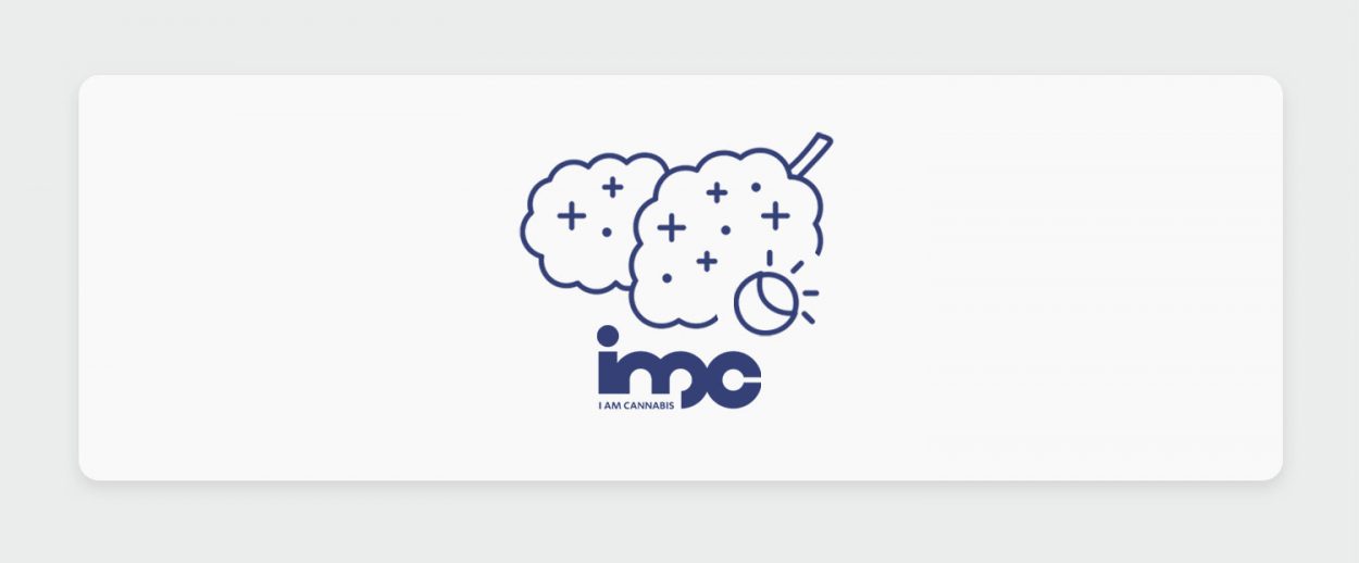 היברידיים בבתי המרקחת: זני הקנאביס מסוג היברידי של חברת IMC