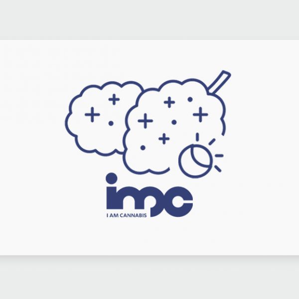 היברידיים בבתי המרקחת: זני הקנאביס מסוג היברידי של חברת IMC