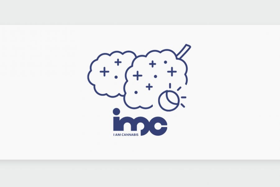 היברידיים בבתי המרקחת: זני הקנאביס מסוג היברידי של חברת IMC