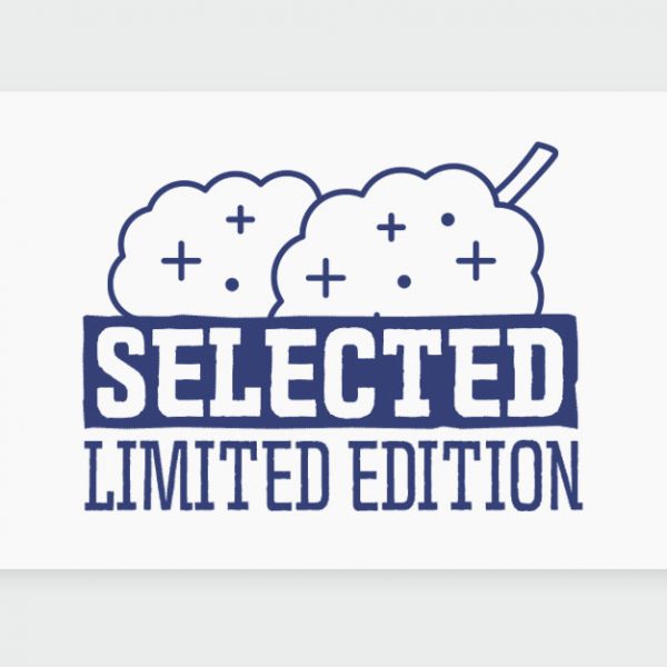 מיסטר בלאק Mr Black מסדרת המובחרים Selected, זן אינדיקה בגידול כחול-לבן